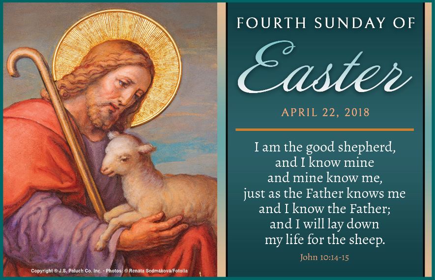 Fourth Sunday Of Easter - April 22, 2018 - St. Anastasia Catholic